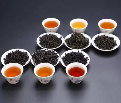 茶葉未來發展，名茶PK民茶